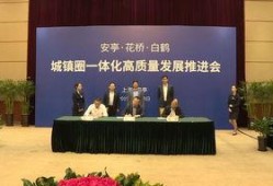 嘉定新闻爆料事件最新,最新事件引发社会关注，真相即将揭晓！